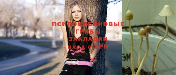 PSILOCYBIN Абаза