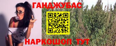прущие крисы Вязьма