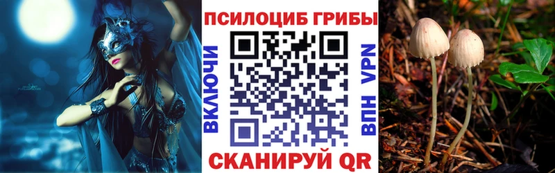 Галлюциногенные грибы GOLDEN TEACHER  Копейск 