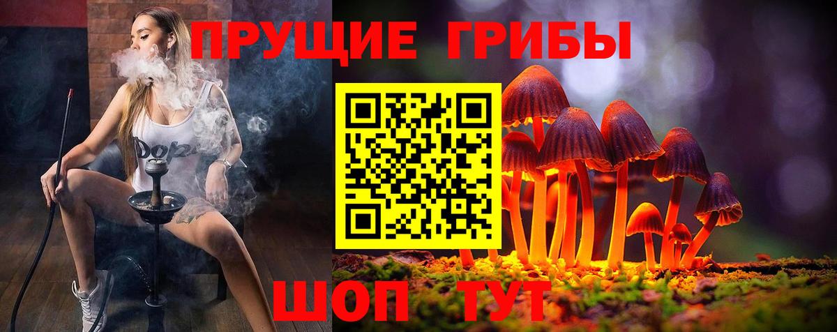 Псилоцибиновые грибы прущие грибы Копейск